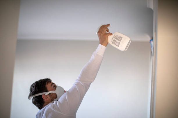 Best Mold Remediation for Specific Building Types in Hilltop, SC